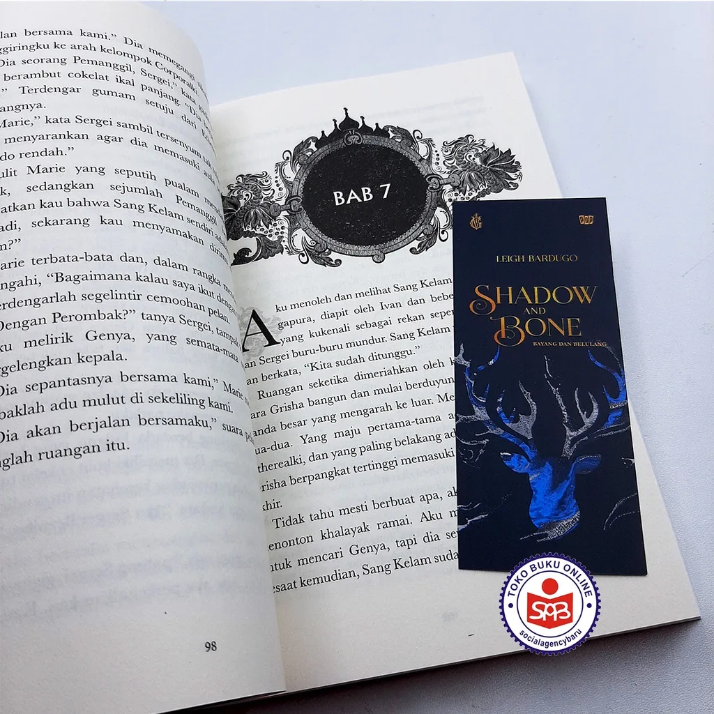Shadow and Bone - Six of Crows - Siege and Storm - Leigh Bardugo