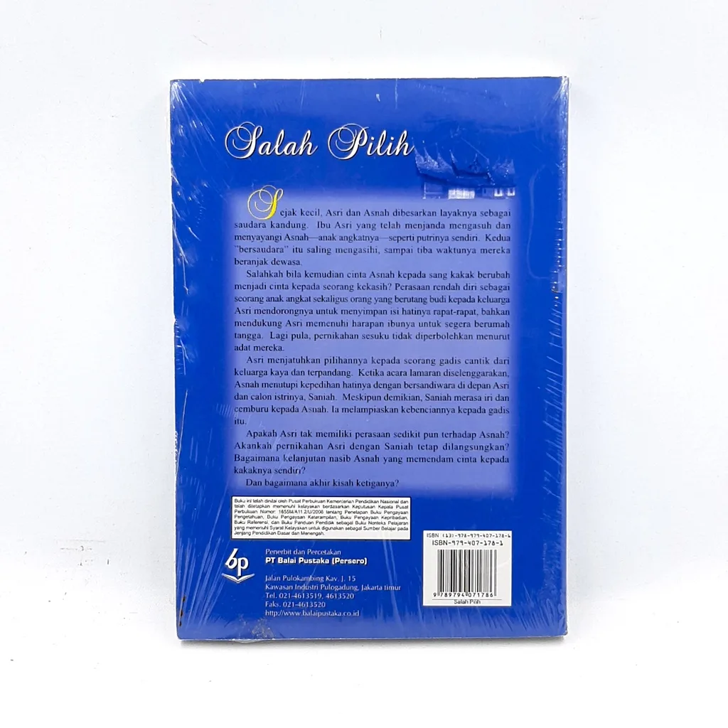 Salah Pilih - Nur St. Iskandar
