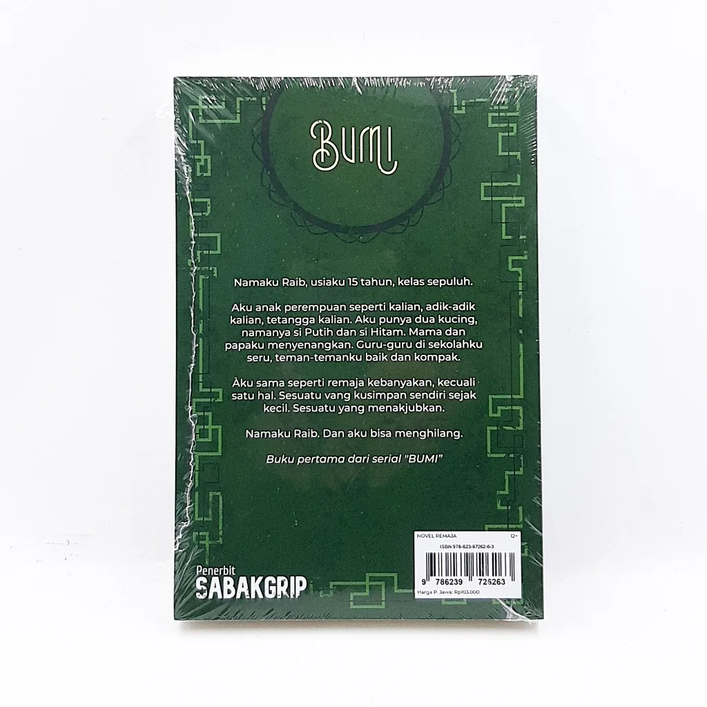 Bumi - Tere Liye (Original)
