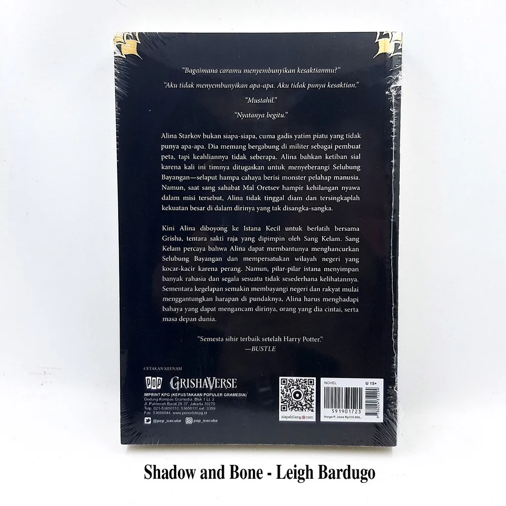 Shadow and Bone - Six of Crows - Siege and Storm - Leigh Bardugo