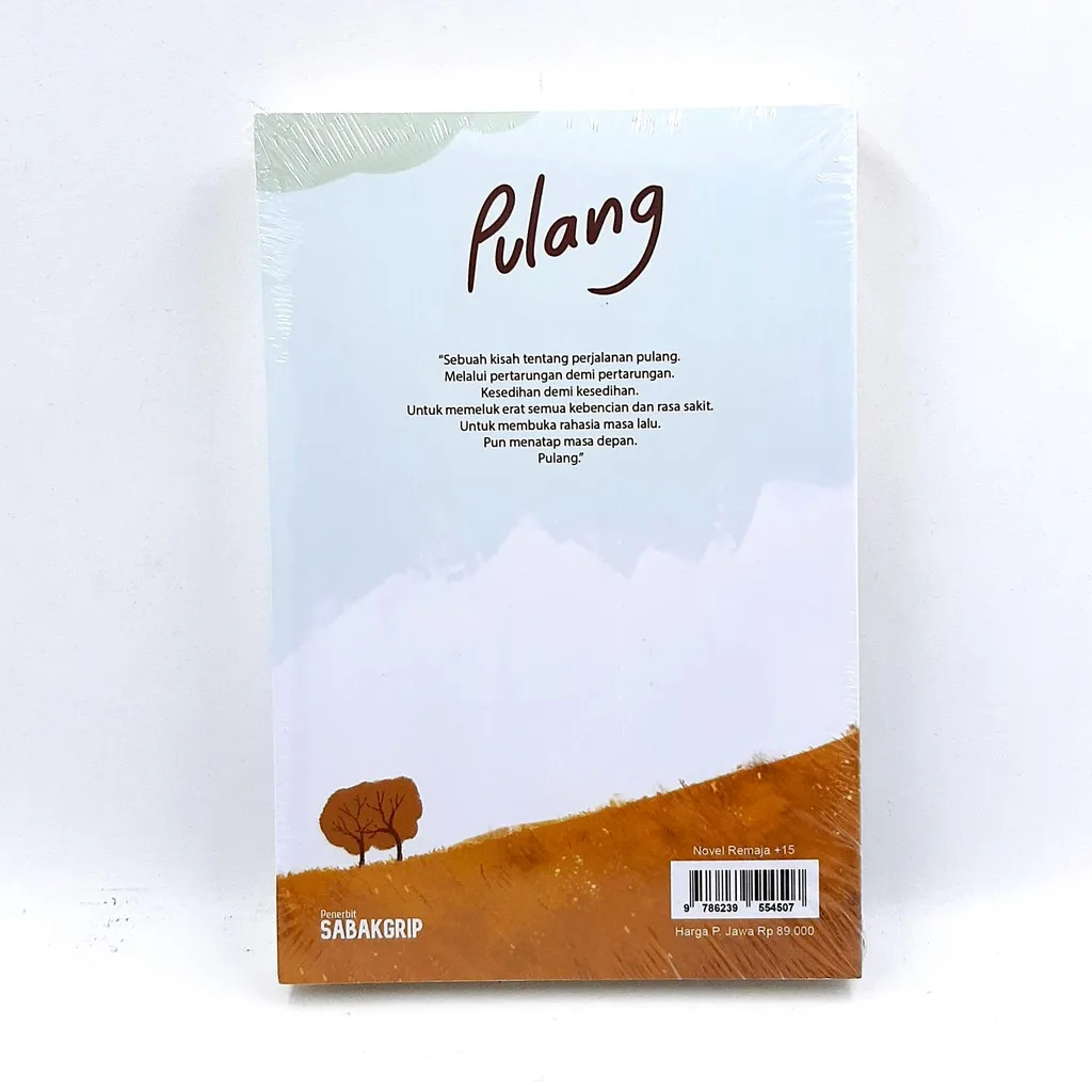 Pulang (Original) - Tere Liye